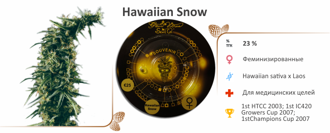 Hawaiian Snow Hawaiian Snow