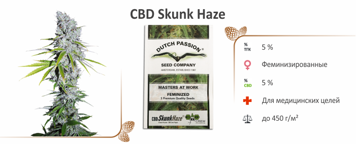 cbd_skunk_haze