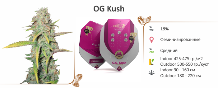 Штамм OG Kush