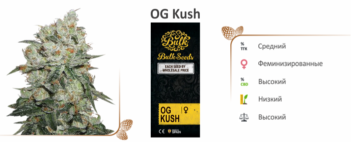 конопля OG Kush