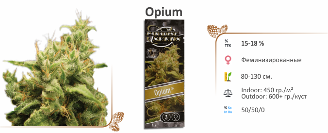 Opium